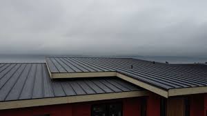 Professional Roofing service in Mckinley, PA